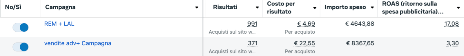 Meta Ads Ecommerce risultati